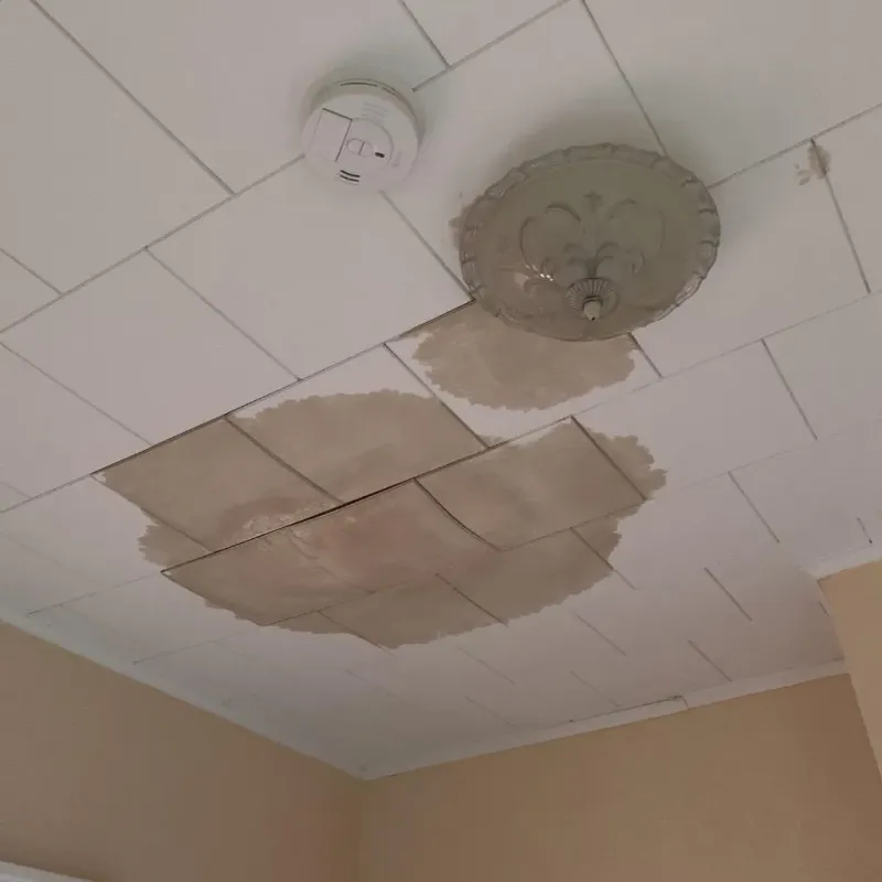 Ceiling Water Damage Repair in Ocean View, DE