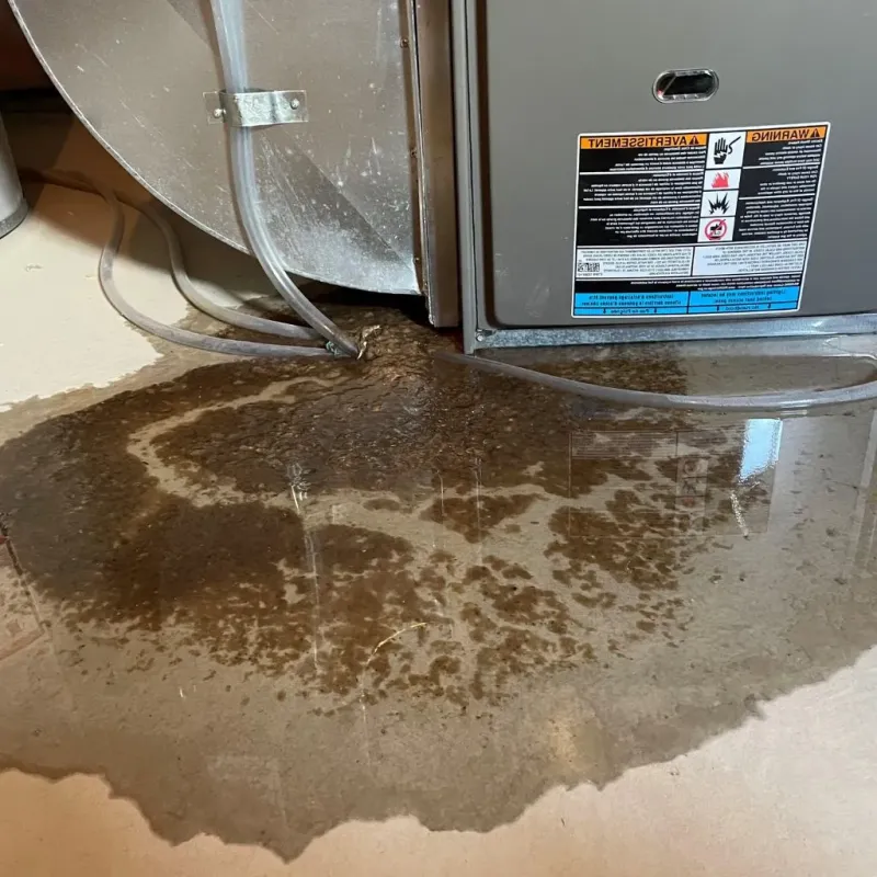 Pipe Burst and Leak Restoration in Ocean View, DE